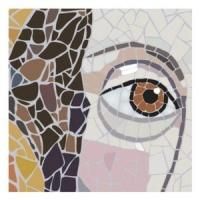 Orlando Shakespeare Theater to Stage RAPUNZEL, 6/19-7/27