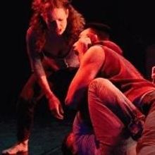 BWW Reviews: Tiffany Mills' BERRIES AND BULLS and THE FEAST