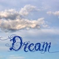 Rising Sun Performance Company Presents DREAM EXCHANGE: A New Play By Stanley Toledo