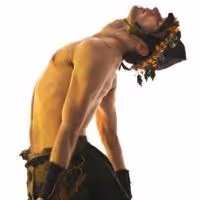BWW Reviews: PEDIGREE, PERIGEE, APOEE: Christopher Williams Curates, Douglas Dunn…