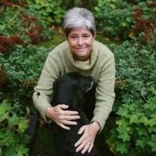 Playwrights Discuss Landing Theatre's 2015 New American Voices Series