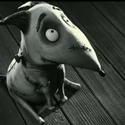 New Clip: Frankenweenie - Hits Theaters Today, Oct 5th, 2012