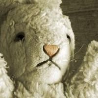 Directorless, Rehearsal-less WHITE RABBIT, RED RABBIT Tours Theatres and Private…