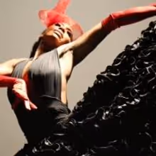 Francesa Harper's LOOK OF FEELING Set for Susan Batson Studio Theater, Now thru 5/18