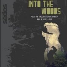 Stephen Sondheim's INTO THE WOODS Plays Bridewell Theatre, Now thru April 12