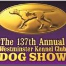 137th Annual Westminster Kennel Club Dog Show Returns to Madison Square Garden, 2/11…