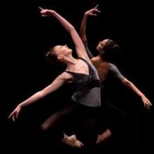 BWW Reviews: INTERMEZZO