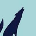 Blue Coyote Theater Group Adds 11/18 Performance of CONEY