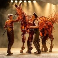 Photo Flash: WAR HORSE Gallops Into Broward Center Tonight
