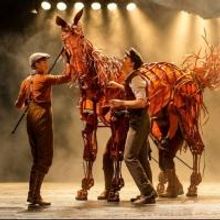 Photo Flash: Sneak Peek - WAR HORSE Gallops Into Broward Center, May 2013