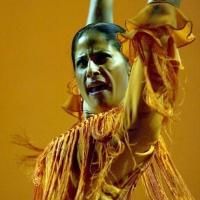 Forever Flamenco! Plays Added SOLEANGELES Performance at Fountain Theatre Tonight
