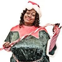 Maryland Ensemble Theatre to Present THE SANTALAND DIARIES, 12/6-29