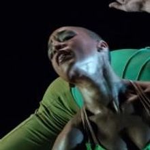 The O'Shaughnessy Presents TU Dance This Weekend