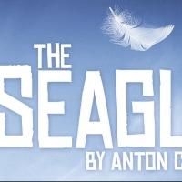 The Chekhov Collection Brings THE SEAGULL to Toronto, Now thru 3/23