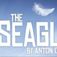 The Chekhov Collection Brings THE SEAGULL to Toronto, Now thru 3/23