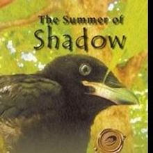 Pat Payne Releases 'The Summer of Shadow'