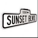 SUNSET BOULEVARD Opens at The Warner Theatre Tonight, 11/3