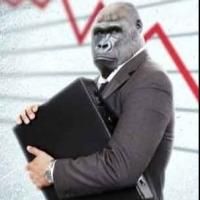 SATC Stages US Premiere of GORILLA at Theatre Row, Now thru 6/16