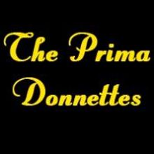 The Prima Donnettes, TOO DARN HOT and More Set for FST's 2013-2014 Cabaret Season