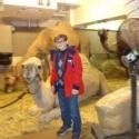 A CHRISTMAS STORY BLOG: Thanksgiving and a Performance on The View!