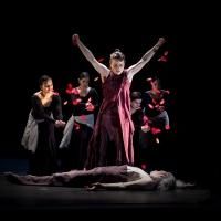 World Premiere of Soledad Barrio and Noche Flamenca's ANTIGONA Set for UW World…