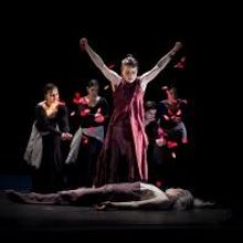World Premiere of Soledad Barrio and Noche Flamenca's ANTIGONA Set for UW World Serie