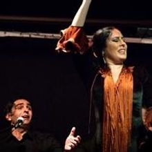 Sonia Olla & Ismael Fernandez Perform AL SON SON - FLAMENCO at TriBeCa PAC Tonight