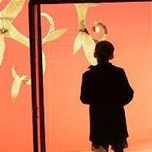 Texas Repertory Continues 10th Season with SHADOWLANDS