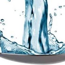 RLTP to Close 2014-15 Season with WATER BY THE SPOONFUL