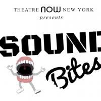 2014 SOUND BITES Musical Finalists Announced