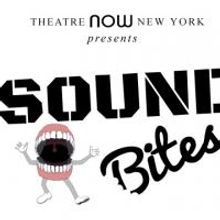 2014 SOUND BITES Musical Finalists Announced
