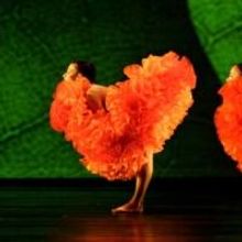 Momix to Bring Dance Spectacular BOTANICA to the State Theatre, 8/7