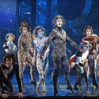 Photo Flash: CATS Opens Tonight at the Paramount Theatre in Aurora