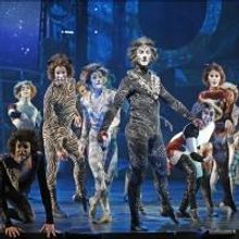 Photo Flash: CATS Opens Tonight at the Paramount Theatre in Aurora