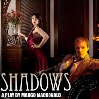 SHADOWS Opens Today at Videofag