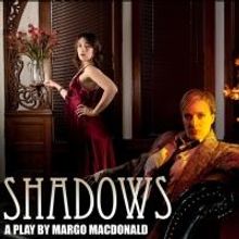 SHADOWS to Open April 11 at Videofag
