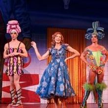 Casting Announced for Priscilla Queen of the Desert the Musical at Segerstrom Center 
