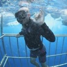 Sneak Peek - Nat Geo Wild's ALOHA VET Goes Swimming with the Sharks Tonight