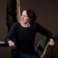 Review Roundup: THE TESTAMENT OF MARY Opens on Broadway - All the Reviews!