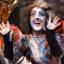 Atlanta Lyric Theatre to Stage CATS This Summer