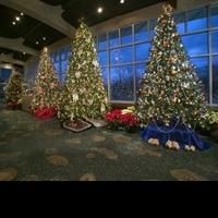 Meijer Gardens Celebrates The Holidays With CHRISTMAS AND HOLIDAY TRADITIONS AROUND…