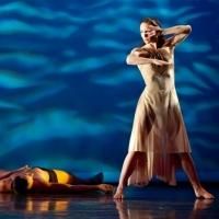 Photo Flash: Preview ON DISTANT SHORES, BOLERO and More in RIOULT Dance NY's 2013-14…