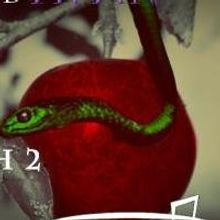 BWW Interviews: Pierre Brault's Staging of CHILDREN OF EDEN Is Anything But Tradition