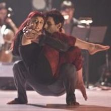 Photo Flash: Sneak Peek - DANSE LHASA DANSE at Luminato's 'Hub'