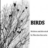 BIRDS Begins Tonight at This/That Festival