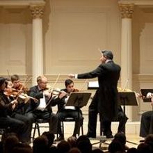 Chamber Orchestra of New York to Perform 'Cuckoo! For the Birds' Concert at Weill Rec