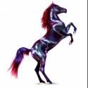 Jill Greenberg's HORSE Exhibition Opens at ClampArt Today, 10/18