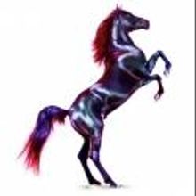 Jill Greenberg's HORSE Exhibition Opens at ClampArt Today, 10/18