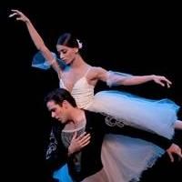 Houston Ballet Dancers Make Guest Appearances With The Australian Ballet