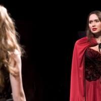 BWW Reviews: The Washington Rogues Create a Modern, Bloody Twist to a Classic Fairy…